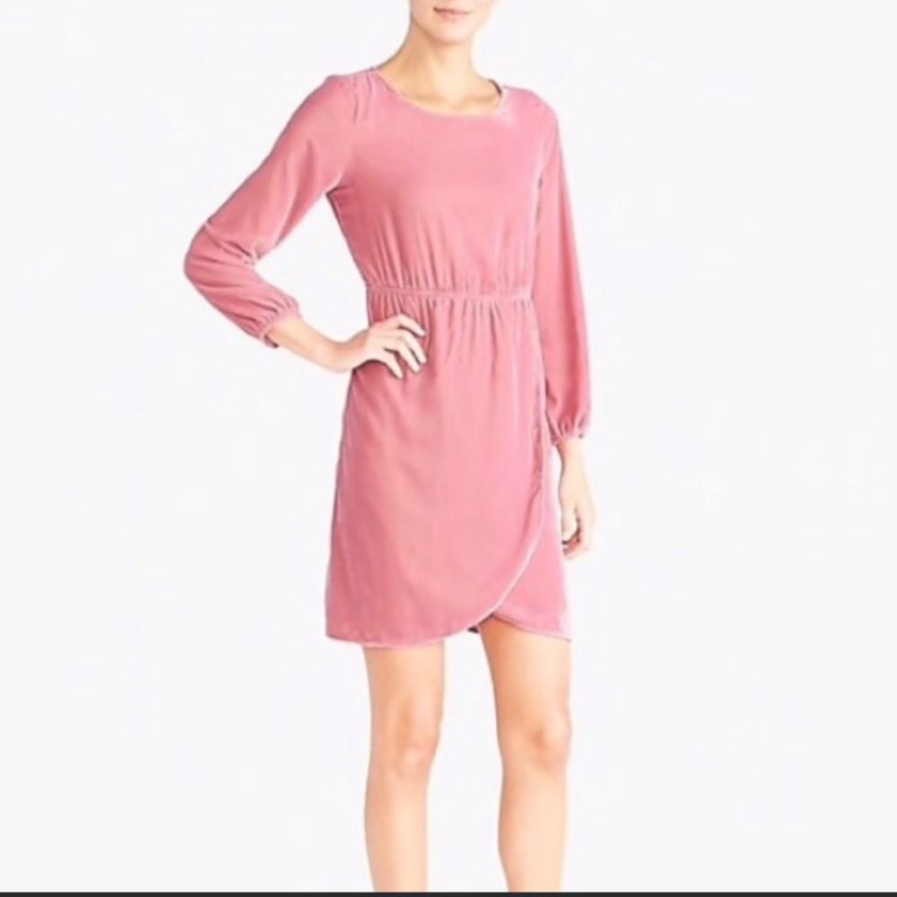 J Crew Velvet Long-sleeve Pink Dress